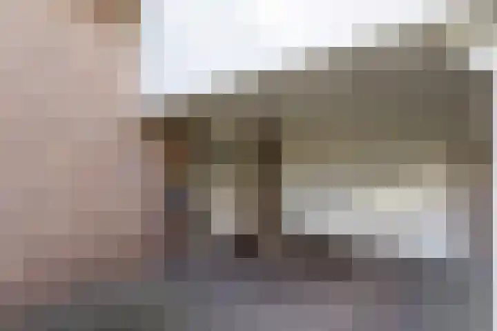 De Fazant 17 Vroomshoop thumbnail 7