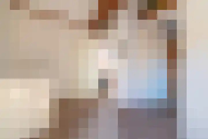 De Fazant 17 Vroomshoop thumbnail 8