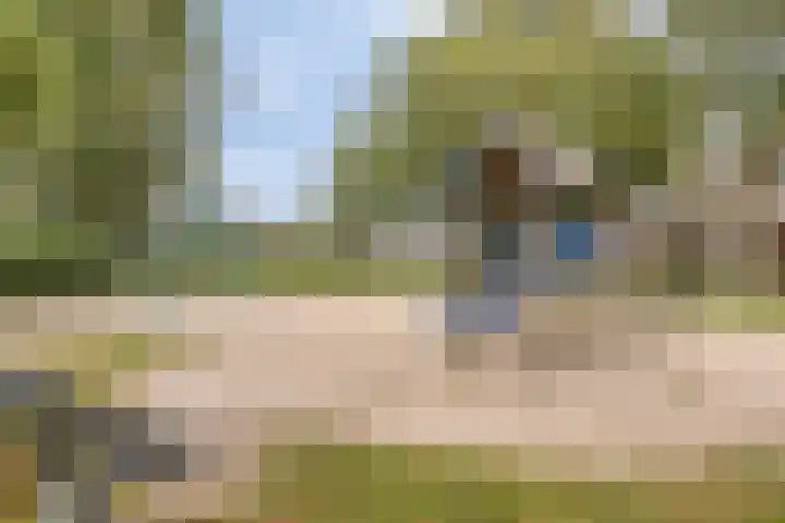 De Fazant 18 a Almelo thumbnail 34