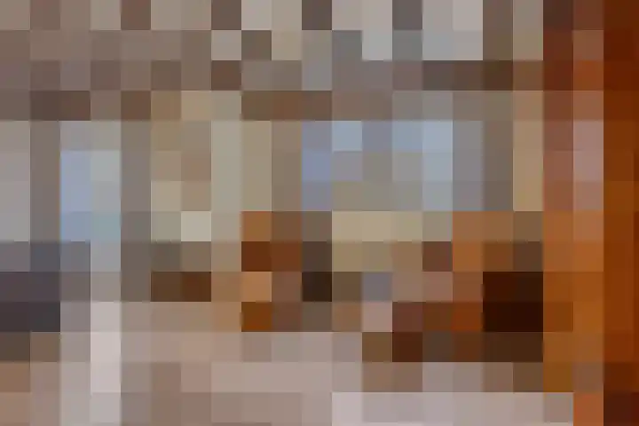 De Fazant 19 Surhuisterveen thumbnail 10