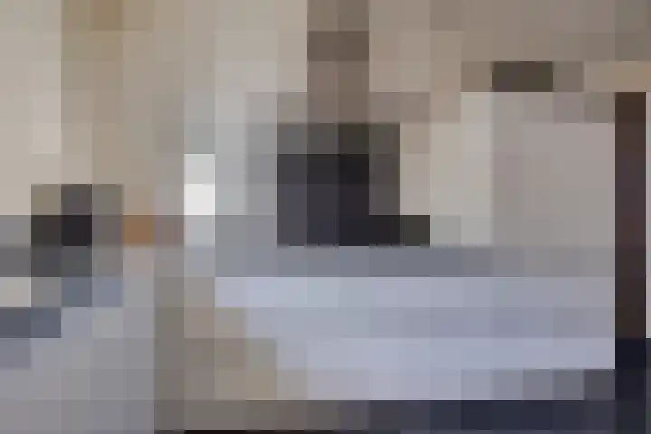 De Fazant 19 Surhuisterveen thumbnail 14