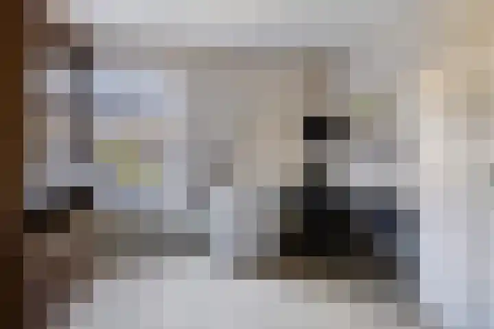 De Fazant 19 Surhuisterveen thumbnail 17