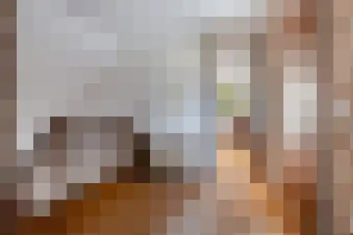 De Fazant 19 Surhuisterveen thumbnail 22
