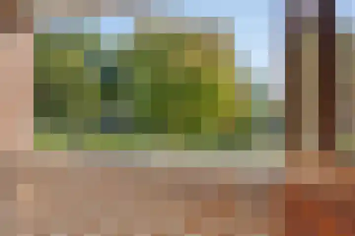 De Fazant 19 Surhuisterveen thumbnail 26
