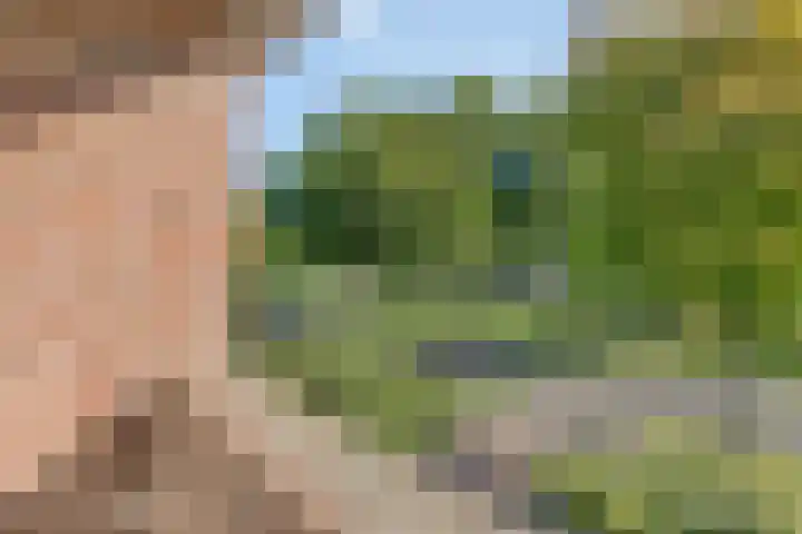 De Fazant 19 Surhuisterveen thumbnail 27