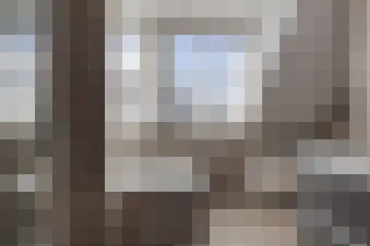 De Fazant 19 Surhuisterveen thumbnail 32