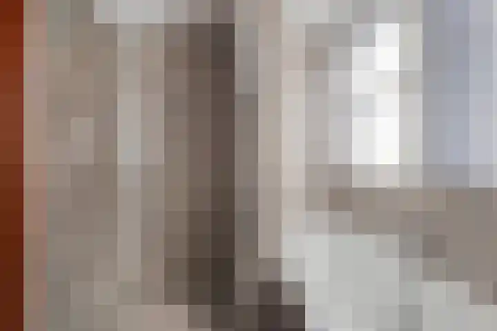De Fazant 19 Surhuisterveen thumbnail 34