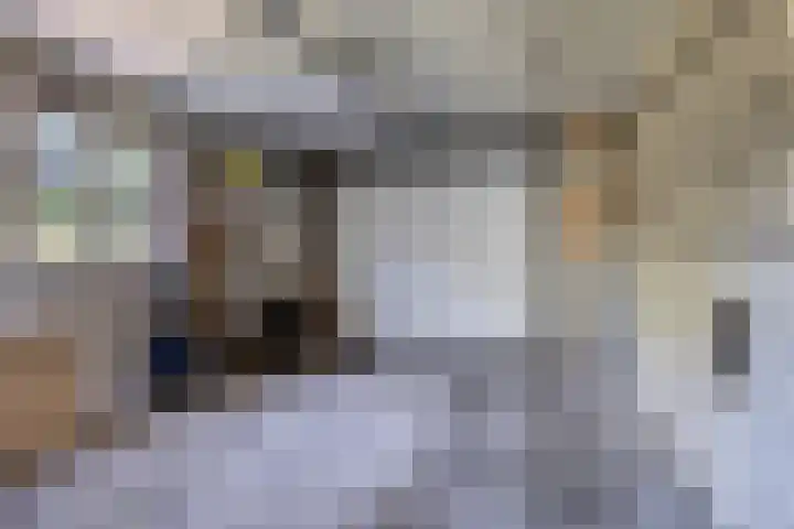 De Fazant 19 Surhuisterveen thumbnail 35