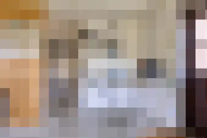 De Fazant 19 Surhuisterveen thumbnail 36