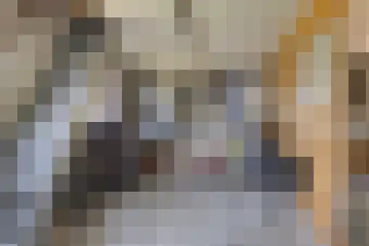 De Fazant 19 Surhuisterveen thumbnail 37
