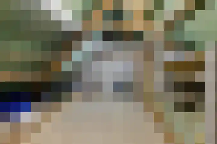 De Fazant 19 Surhuisterveen thumbnail 38