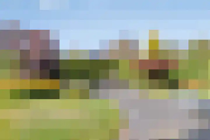 De Fazant 19 Surhuisterveen thumbnail 40