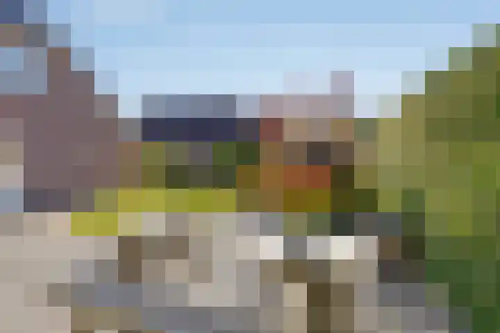 De Fazant 19 Surhuisterveen thumbnail 41