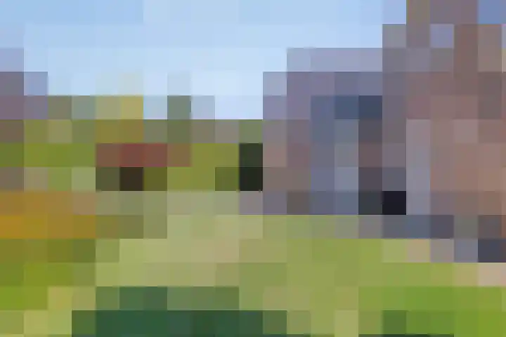 De Fazant 19 Surhuisterveen thumbnail 42