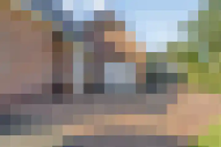 De Fazant 19 Surhuisterveen thumbnail 43