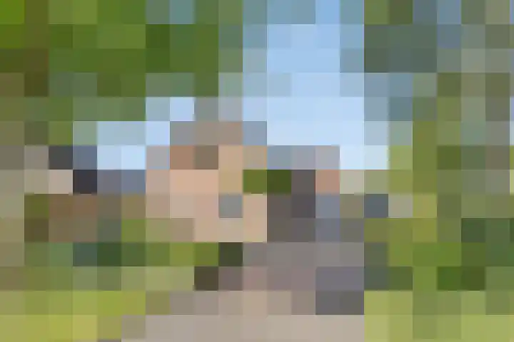 De Fazant 19 Surhuisterveen thumbnail 44