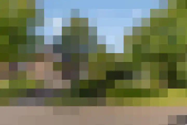 De Fazant 19 Surhuisterveen thumbnail 45