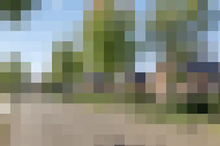 De Fazant 19 Surhuisterveen thumbnail 46