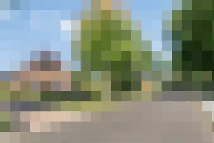 De Fazant 19 Surhuisterveen thumbnail 47
