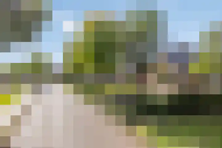 De Fazant 19 Surhuisterveen thumbnail 48
