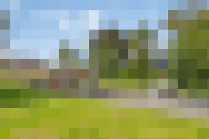De Fazant 19 Surhuisterveen thumbnail 49