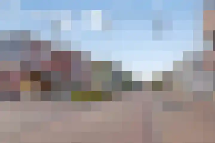 De Fazant 19 Surhuisterveen thumbnail 50