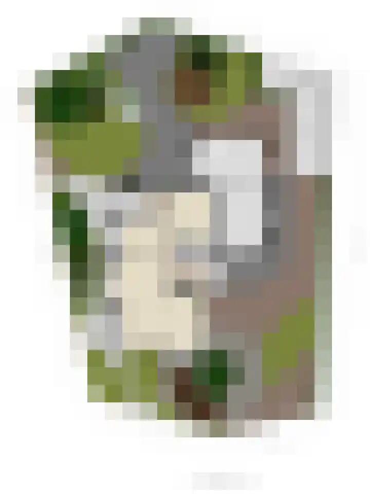 De Fazant 19 Surhuisterveen thumbnail 52