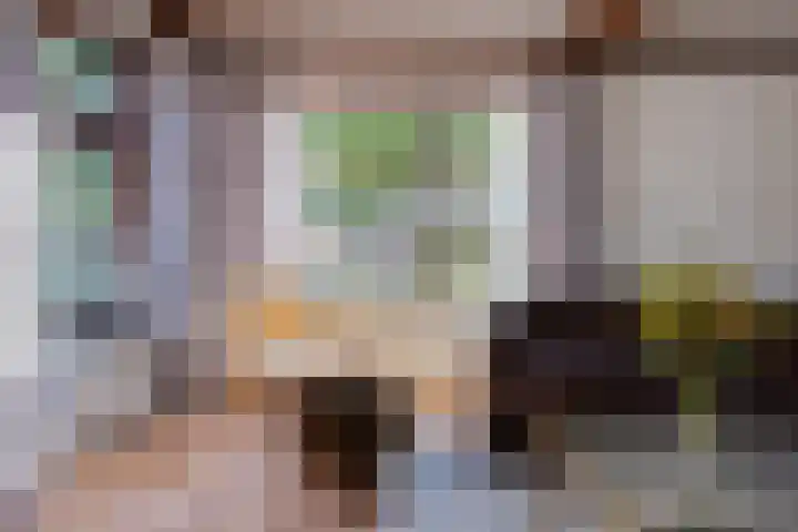 De Fazant 19 Surhuisterveen thumbnail 6