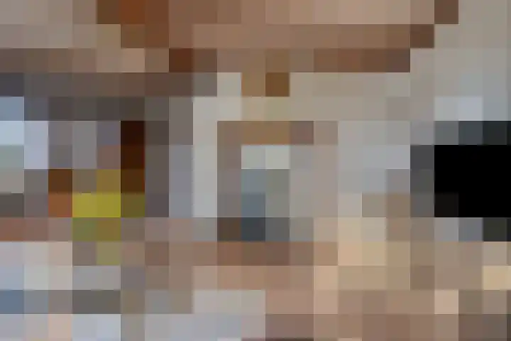 De Fazant 19 Surhuisterveen thumbnail 7