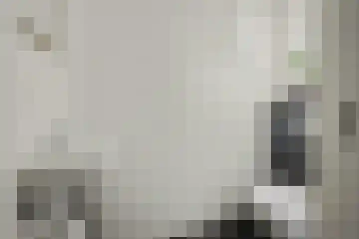 De Fazant 23 Almelo thumbnail 18