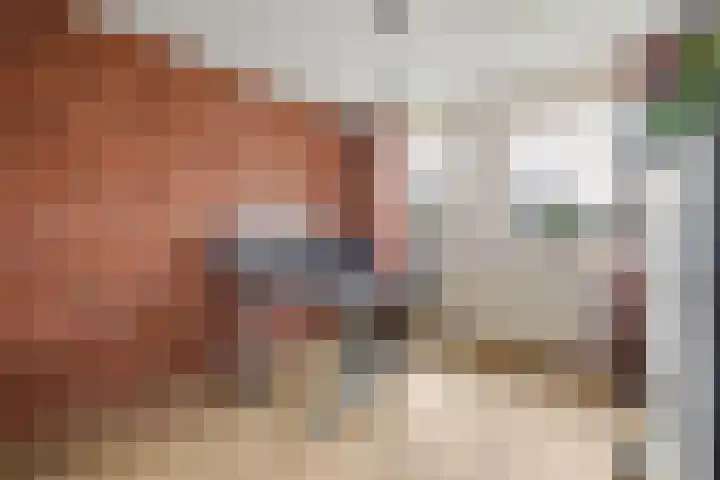 De Fazant 23 Almelo thumbnail 25