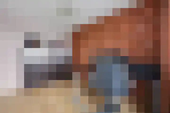 De Fazant 23 Almelo thumbnail 26