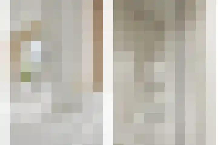 De Fazant 23 Almelo thumbnail 30