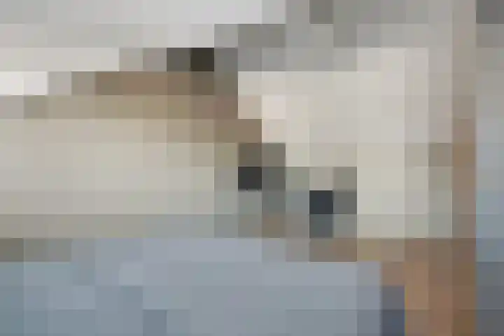 De Fazant 23 Almelo thumbnail 35