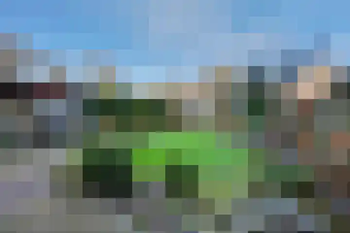 De Fazant 23 Almelo thumbnail 37