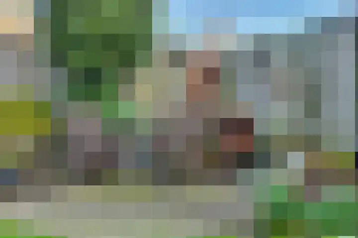 De Fazant 23 Almelo thumbnail 38