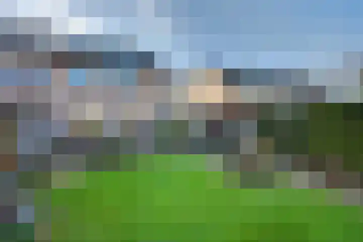 De Fazant 23 Almelo thumbnail 40