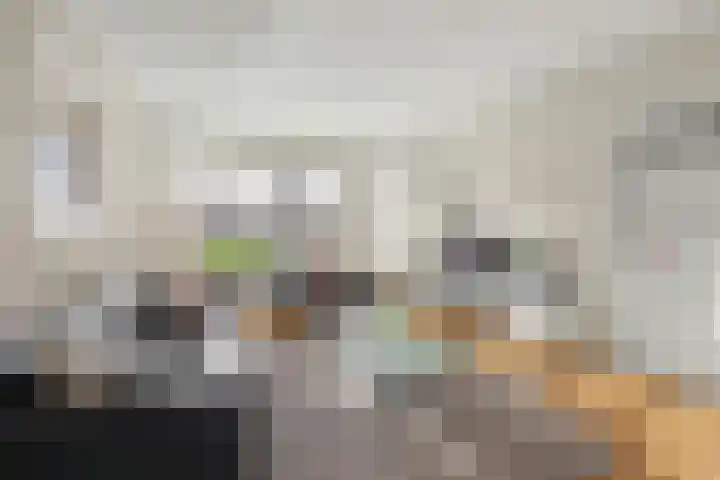 De Fazant 23 Almelo thumbnail 8