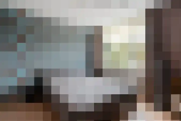 De Fazant 25 Hoogeveen thumbnail 16