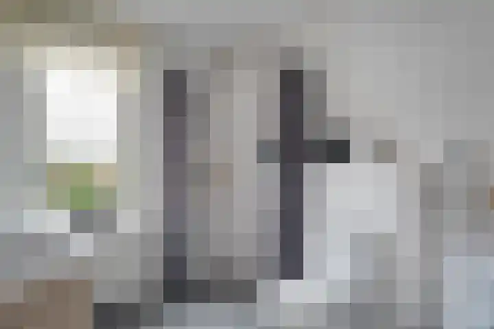 De Fazant 25 Hoogeveen thumbnail 19