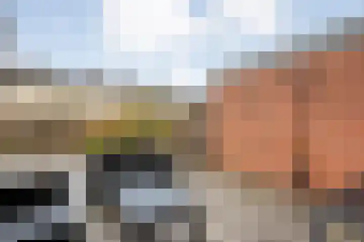 De Fazant 25 Hoogeveen thumbnail 22