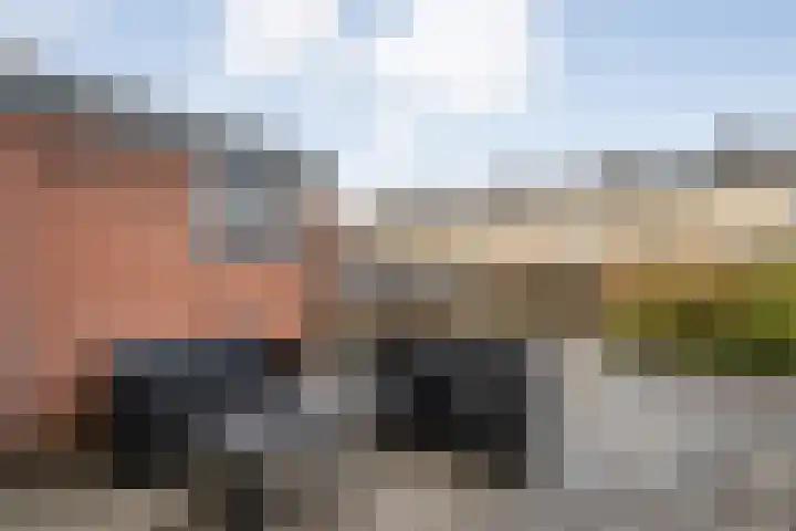 De Fazant 25 Hoogeveen thumbnail 23