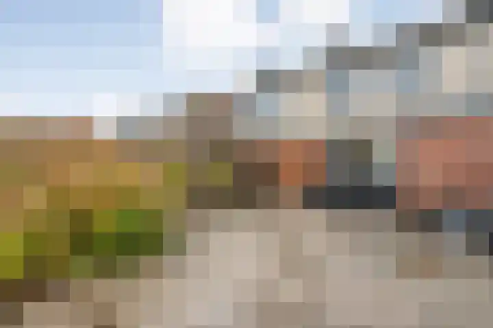 De Fazant 25 Hoogeveen thumbnail 24