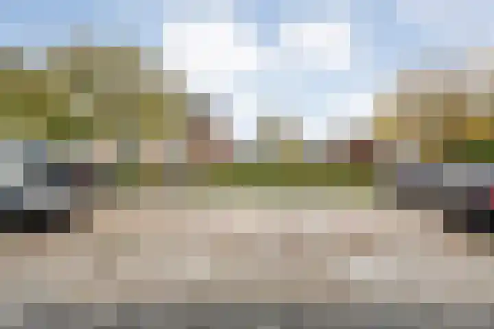 De Fazant 25 Hoogeveen thumbnail 25
