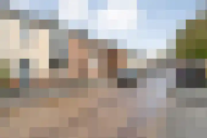 De Fazant 25 Hoogeveen thumbnail 26