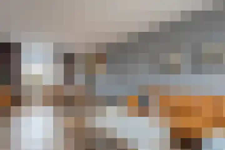 De Fazant 25 Hoogeveen thumbnail 4