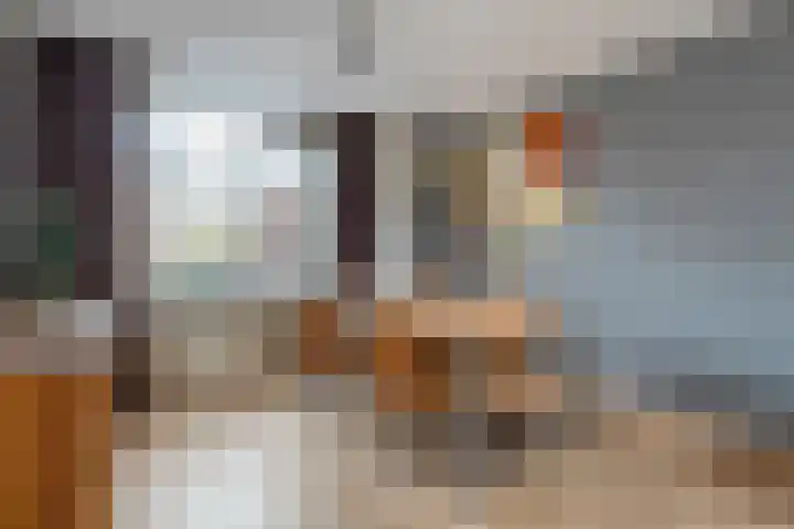 De Fazant 25 Hoogeveen thumbnail 5