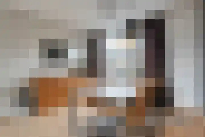 De Fazant 25 Hoogeveen thumbnail 6