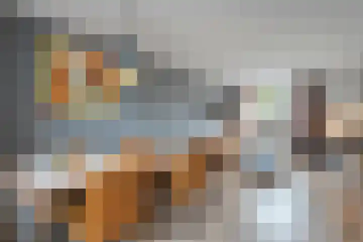 De Fazant 25 Hoogeveen thumbnail 7