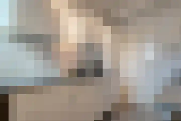 De Fazant 25 Hoogeveen thumbnail 8